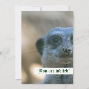 Engraçado Meerkat Convite Personalizado