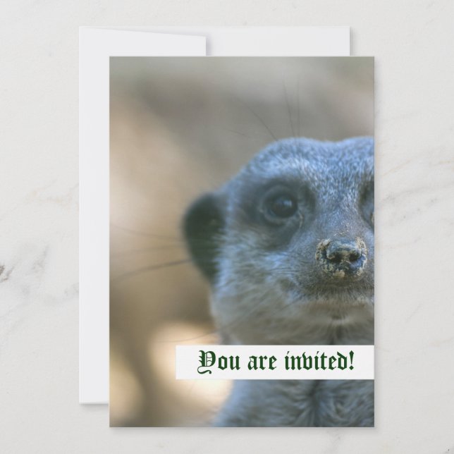 Engraçado Meerkat Convite Personalizado (Frente)