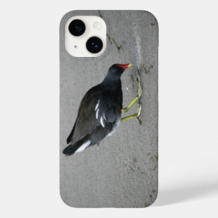 Engraçado Moorhen Tome uma Arco