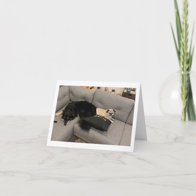 Engraçado no cartão de aniversário (Frente)