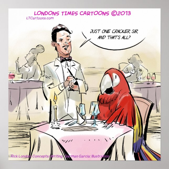 Engraçado Papagaio Belo Poster (Frente)