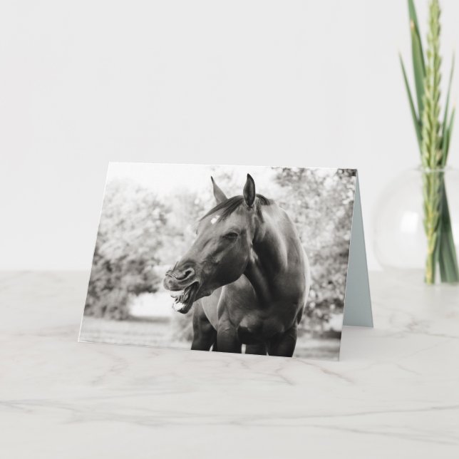 Engraçado pensar em seu cartão de cavalo (Frente)