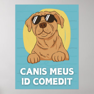 Engraçado Poster de sala de aula latino - Canis Me