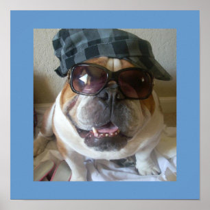 Engraçado Poster do Buldogue Inglês