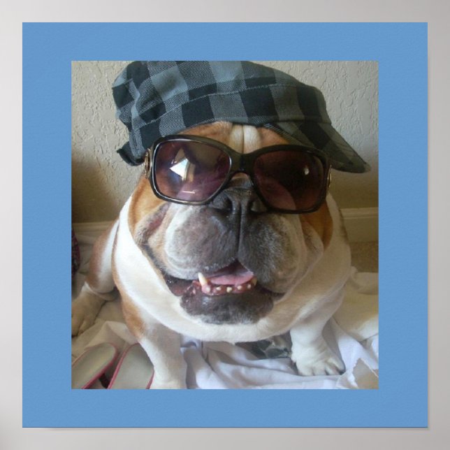 Engraçado Poster do Buldogue Inglês (Frente)