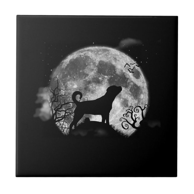 Engraçado Rottweiler Halloween Costume Engraçado C (Frente)