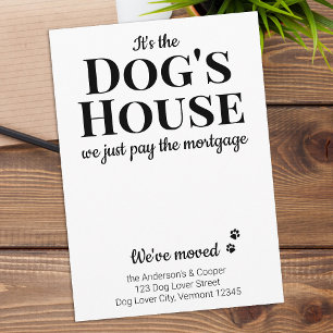 Engraçado termos o anúncio de movimento do Pet Dog