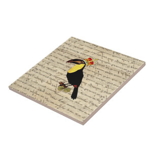 Engraçado vintage toucan e coroa