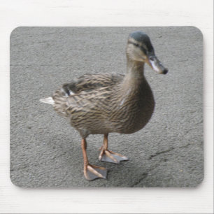 Engraçado Waddling Duck Mousepad