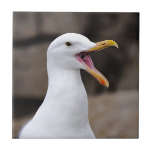 ENGRAY Seagull