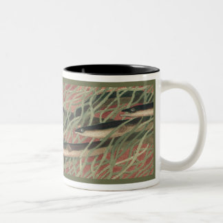 Enguias - caneca de café