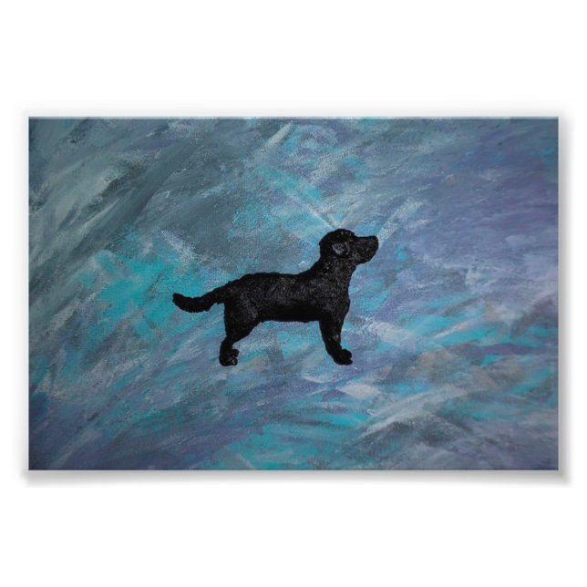 Enlar de Fotografias do Kodak Professional Photo P (Frente)