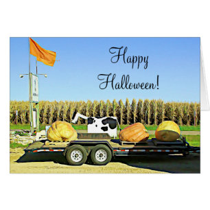 Enorme Abóboras e Cartão de Queda de Vaca Leiteira