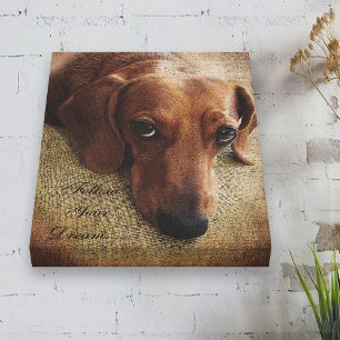 Enrolamento da Canvas do Retrato Dachshund