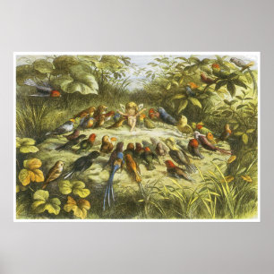 Ensaio no poster do Fairyland por Richard Doyle