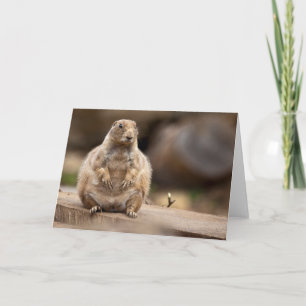 Então, estou um Pouco Curto para o meu Cartão de P