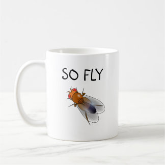 Então, voe a caneca Drosophila