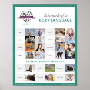 Entendendo o Cat Body Language 16 x 20 Poster