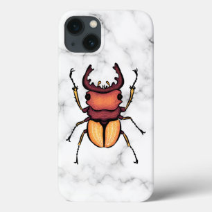 Entomologia por Insetos à Arte do Fusca