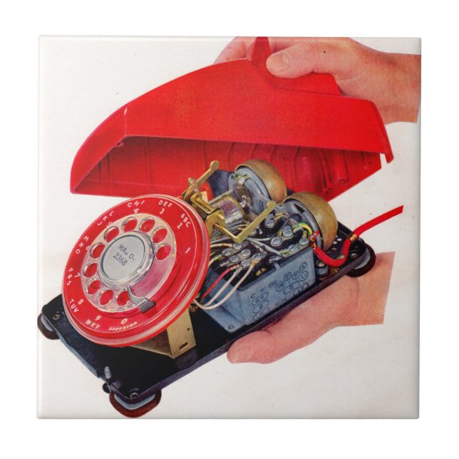 entranhas telefônicas reveladas (Frente)