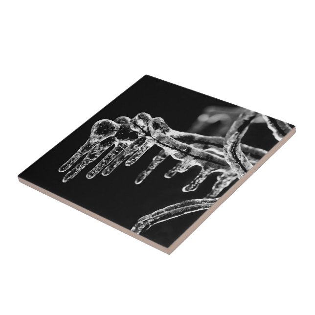 entrar no inverno gelado (Lateral)