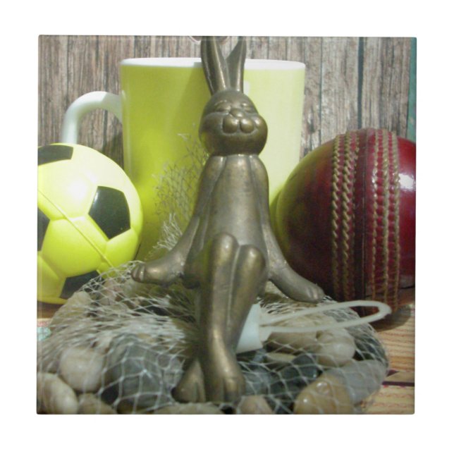 Entre o brejo e a gordura: mistura de críquete de  (Frente)