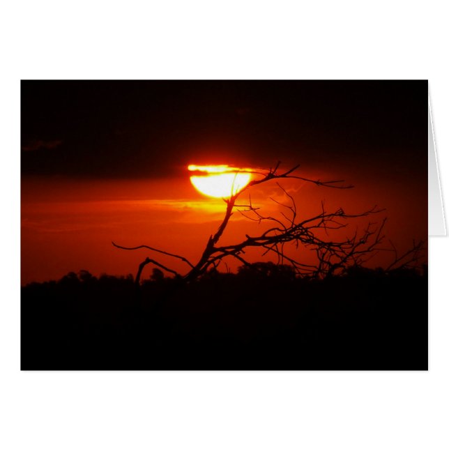 Entre o Cartão Escuro (Frente Horizontal)