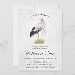 Entrega Especial Cegonha de Aquarela Elegante pa