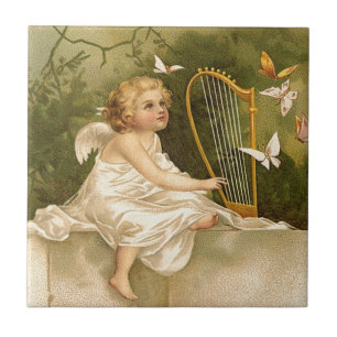 Entusiasmo para a vida