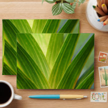 Envelope Botânico Verde Elegante