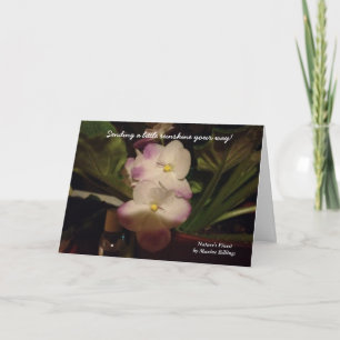 "ENVIANDO A POUCA LUZ DO SOL CARTÃO DA SUA