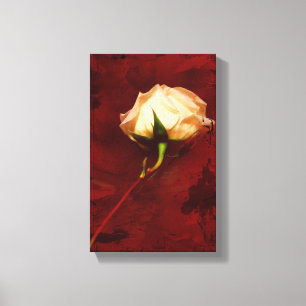 Envoltório artístico das canvas do rosa branco