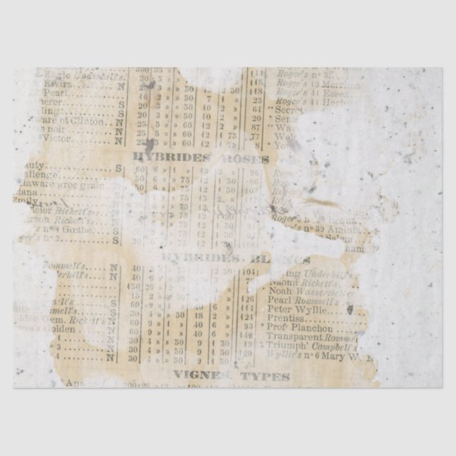 Ephemera - Série de Papel Distinto - Design 3 (Frente )