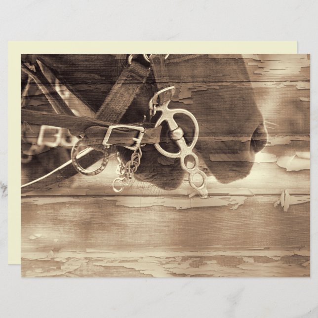 Equídeo Vintage Western Sépia Dissociação Rústica  (Frente/Verso)