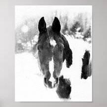 Equídeos de Inverno Cavalo Poster