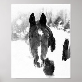 Equídeos de Inverno Cavalo Poster