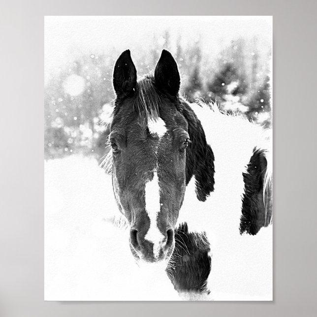 Equídeos de Inverno Cavalo Poster (Frente)