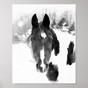 Equídeos de Inverno Equídeos B&W Poster