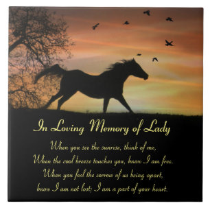 Equine Horse Memorial Custom Name Spiritual Poem