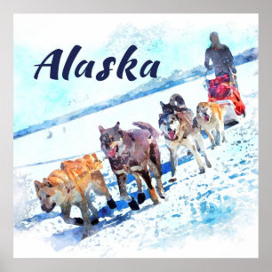 Equipe (AK) do cão de trenó de Alaska A - poster