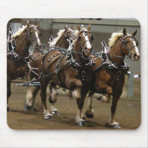 Equipe belga em harness mousepad