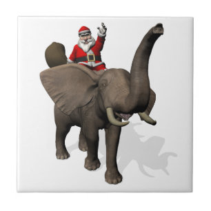 Equitação de Papai Noel no elefante