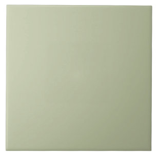 ER Verde Sage bfc6a3 FN
