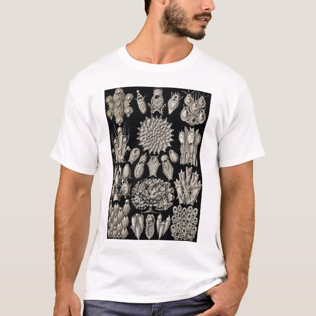 Ernst Haeckel - Camiseta Bryozoa2 (Frente)