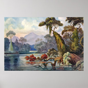 Ernst Haeckel - Poster do Rio Kelani
