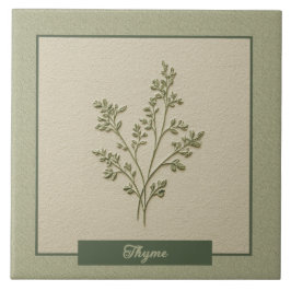 Erva de Tomilho Jardim da Cozinha Relevo Falso