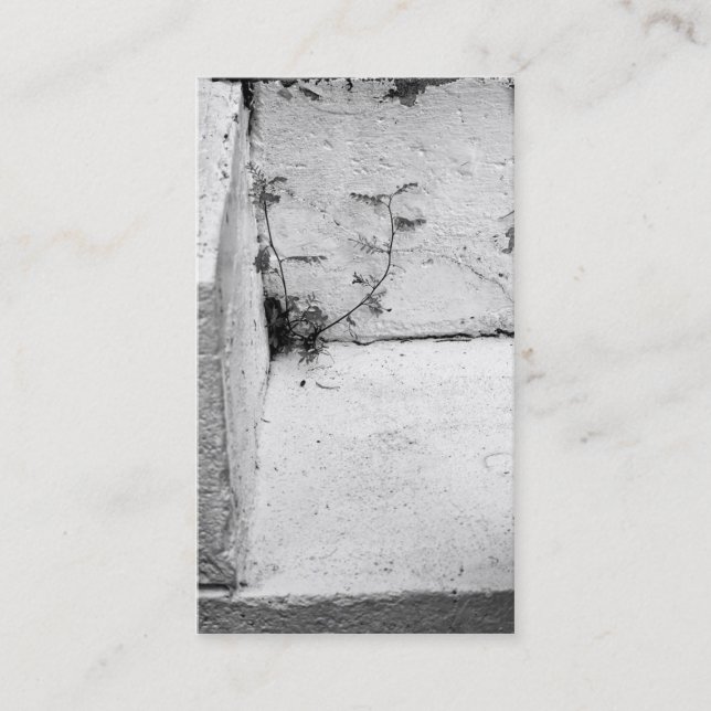 Erva na Cartão de visita de passos concretos (Frente)