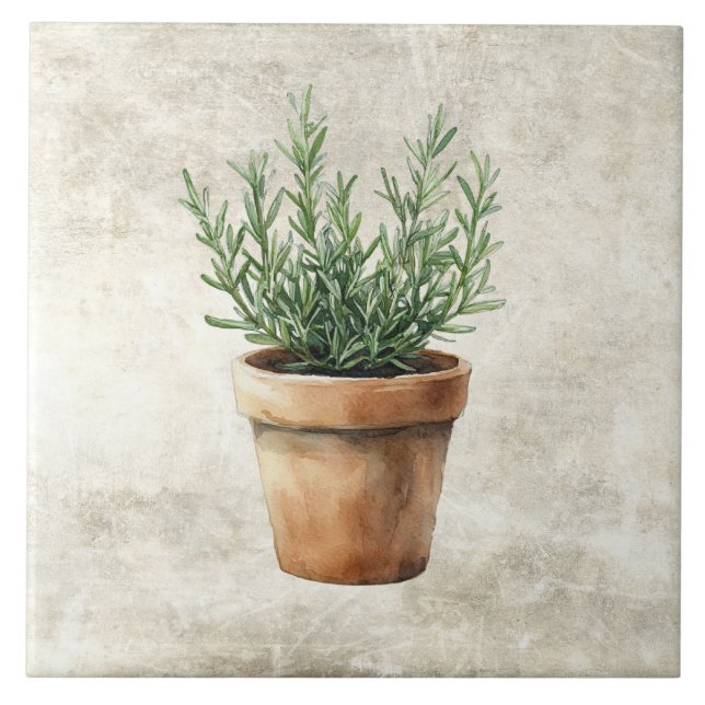 Ervas Aquarela Rústica Alecrim Vaso (Frente)