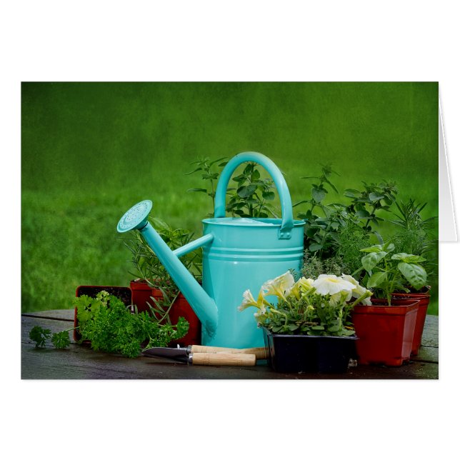 Ervas/flores/que jardinam - cartão vazio (Frente Horizontal)