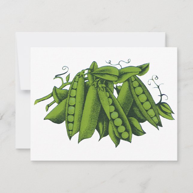 Ervilhas Frescas Vintage Sugar Snap, Alimentos, Le (Frente)
